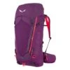 Salewa Alptrek 50+10 BP Ws Rucksack (dark-purple)